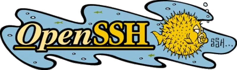 news-ssh
